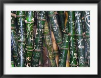Bamboo Graffiti Fine Art Print