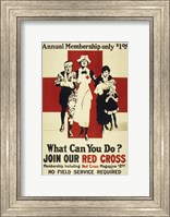 Join Our Red Cross Annual Membership Fine Art Print