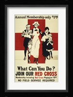 Join Our Red Cross Annual Membership Fine Art Print