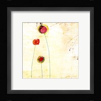 Lollipop II Fine Art Print