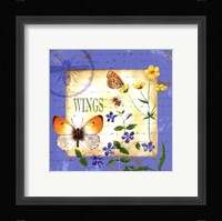 Butterfly Meadow I Framed Print