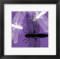 Pop Fly V Fine Art Print