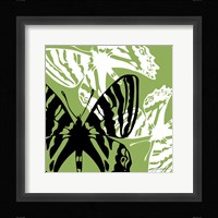 Pop Fly VI Framed Print