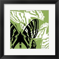 Pop Fly VI Framed Print