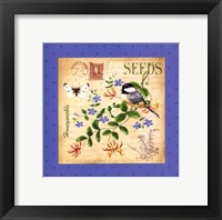 Blooming Garden II Framed Print