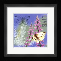 Butterflies Inspire I Fine Art Print