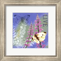 Butterflies Inspire I Fine Art Print