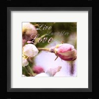 Blossoming Inspiration I Framed Print