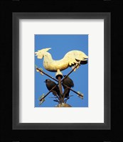 Weathervane, Holy Trinity Church Fine Art Print