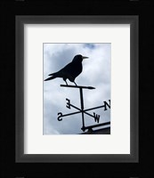 Weatherane, Morcombe Lake Fine Art Print