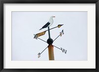 Seagull Weathervane Fine Art Print