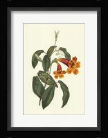 Vibrant Blooms I Framed Print