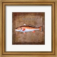 Ocean Fish IX Fine Art Print