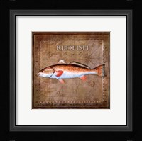 Ocean Fish IX Framed Print