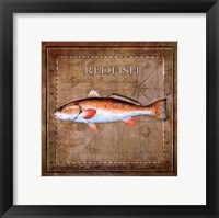 Ocean Fish IX Fine Art Print