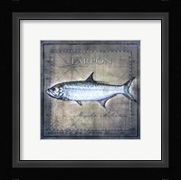 Ocean Fish X Framed Print