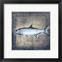 Ocean Fish X Fine Art Print