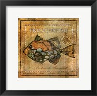 Ocean Fish XI Fine Art Print