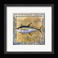 Ocean Fish XII Framed Print