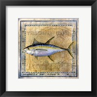 Ocean Fish XII Fine Art Print