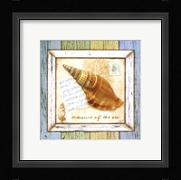 Sea Treasures I Framed Print