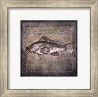 Ocean Fish II Fine Art Print