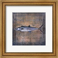 Ocean Fish III Fine Art Print