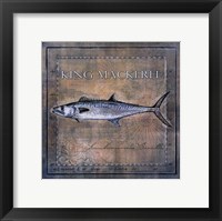 Ocean Fish III Framed Print
