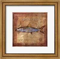 Ocean Fish IV Fine Art Print