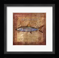 Ocean Fish IV Framed Print