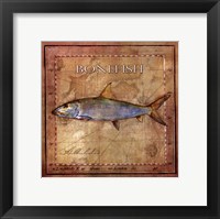 Ocean Fish IV Framed Print
