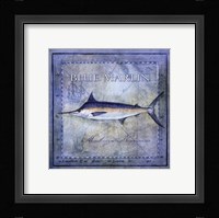 Ocean Fish V Framed Print