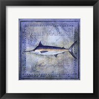 Ocean Fish V Fine Art Print