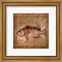 Ocean Fish VII Fine Art Print