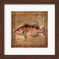 Ocean Fish VII Fine Art Print