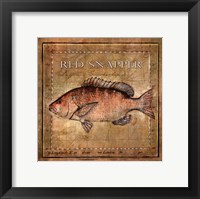 Ocean Fish VII Fine Art Print