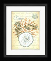 Under the Sea III Framed Print