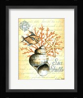 Under the Sea IV Framed Print