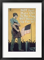 Not Just Hats Off to the Flag but Sleeves Up For It! Fine Art Print