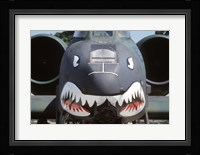 Flying Tigers II Fine Art Print