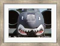 Flying Tigers II Fine Art Print