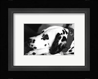 Dog Tired Fine Art Print