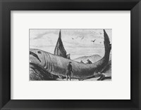 Basking Shark Harper's Weekly October 24, 1868 Fine Art Print