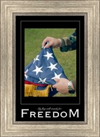 Freedom Affirmation Poster, USAF Fine Art Print