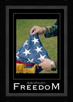Freedom Affirmation Poster, USAF Fine Art Print