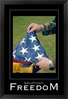 Freedom Affirmation Poster, USAF Fine Art Print