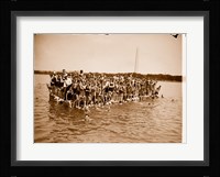 Hawaiian Swimmers at Potomac Tidal Basin Fine Art Print