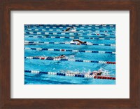 High angle view of people swimming in a swimming pool, International Swimming Hall of Fame, Fort Lauderdale, Florida, USA Fine Art Print