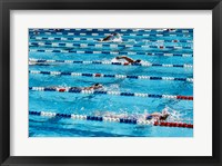 High angle view of people swimming in a swimming pool, International Swimming Hall of Fame, Fort Lauderdale, Florida, USA Fine Art Print