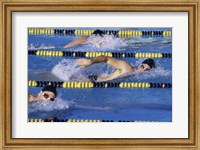 Three swimmers racing in a swimming pool Fine Art Print